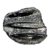 Orthoceras Fossile Plaque de Trois Spécimens Pièce Unique N°ORTH_2DIB9