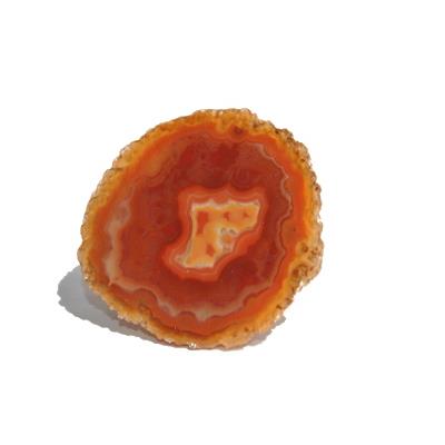 Talon d'Agate Pierre de Collection n°3204