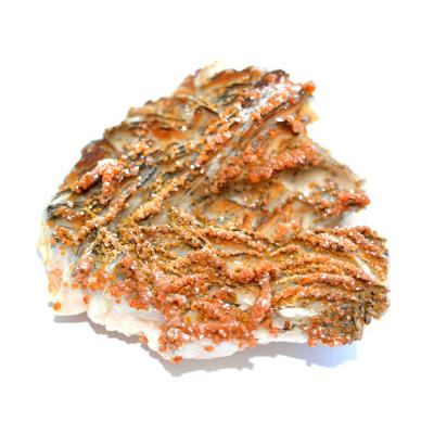 Vanadinite sur Baryte Pierre Unique de Collection N° 1VSQ4