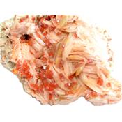 Vanadinite sur Baryte Pierre Unique de Collection N° 1VTD23