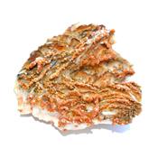 Vanadinite sur Baryte Pierre Unique de Collection N° 1VSQ4