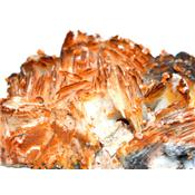 Vanadinite sur Baryte Pierre Unique de Collection N° 1VSQ14