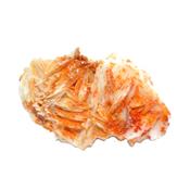 Vanadinite sur Baryte Pierre Unique de Collection N° 1VTB19