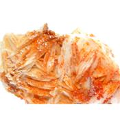 Vanadinite sur Baryte Pierre Unique de Collection N° 1VTB19