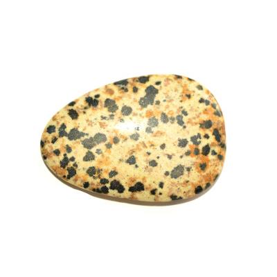 Jaspe Dalmatien Galet Pierre Plate (3 à 4 cm)