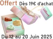 Une pierre Brute de 2 à 2.5cm Offerte dès 19 Euros d'achat Modèle Selon Disponibilité