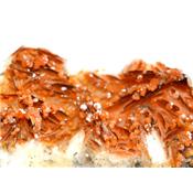 Vanadinite sur Baryte Pierre Unique de Collection N° 1VSP6