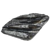 Orthoceras Fossile Plaque de Quatre Spécimens Pièce Unique N°ORTH_2DIB8