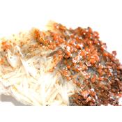 Vanadinite sur Baryte Pierre Unique de Collection N° 1VSQ11